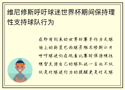 维尼修斯呼吁球迷世界杯期间保持理性支持球队行为